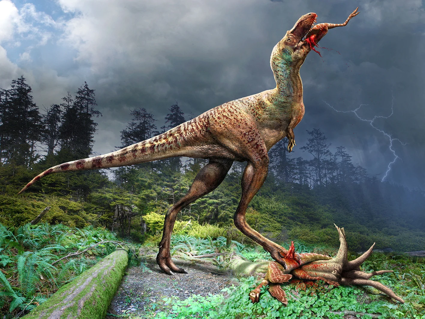 REUTERS: A juvenile Gorgosaurus, a meat-eating dinosaur that lived 75 million years ago during the Cretaceous Period in what is now Canada's Alberta province, consumes a small dinosaur called Citipes in this illustration obtained by Reuters on December 7, 2023. Julius Csotonyi and Royal Tyrrell Museum of Palaeontology/Handout via REUTERS