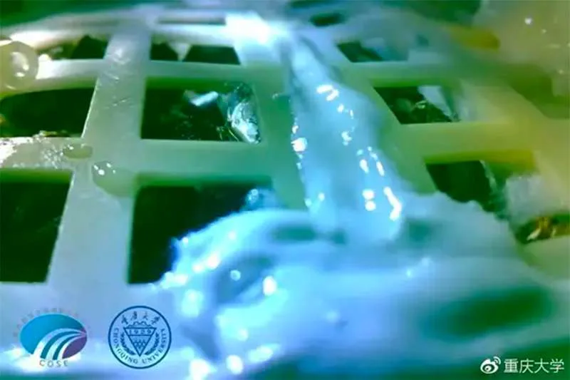 China's Chang'e 4 has grown the very first plant on the Moon The
