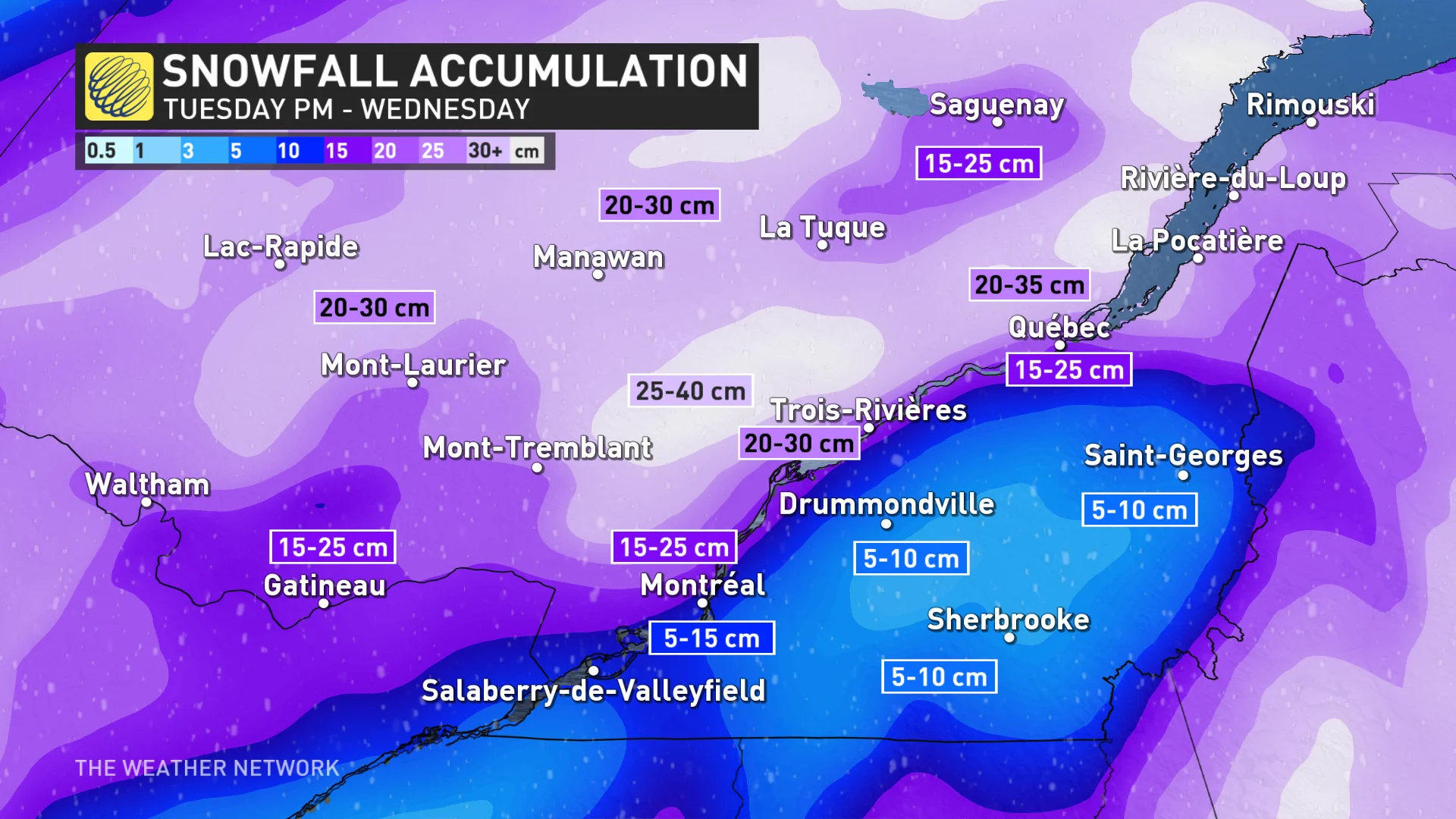 Baron - QC snow - Jan8.jpg