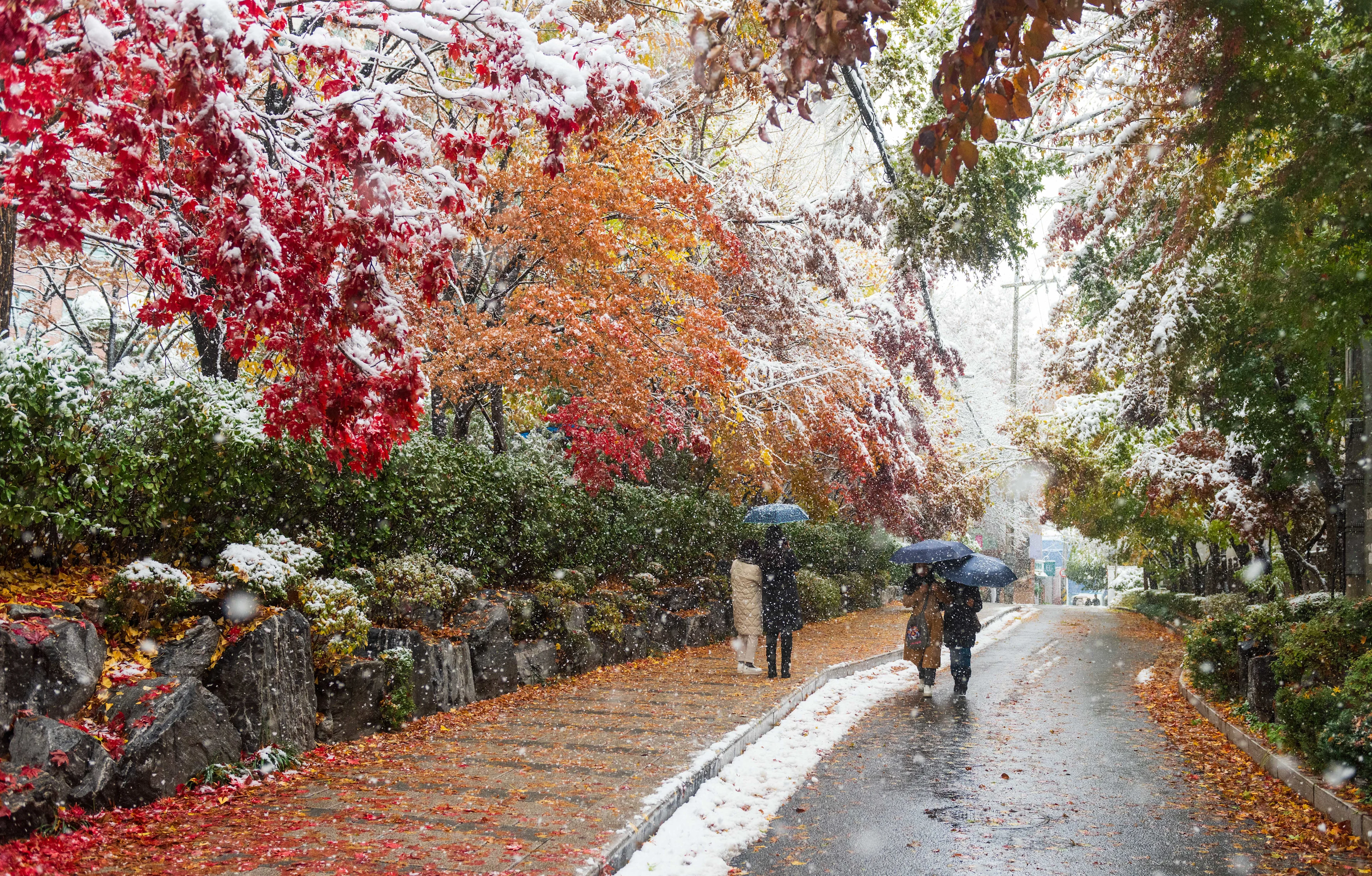 REUTERS/SOPA Images - Seoul Snow