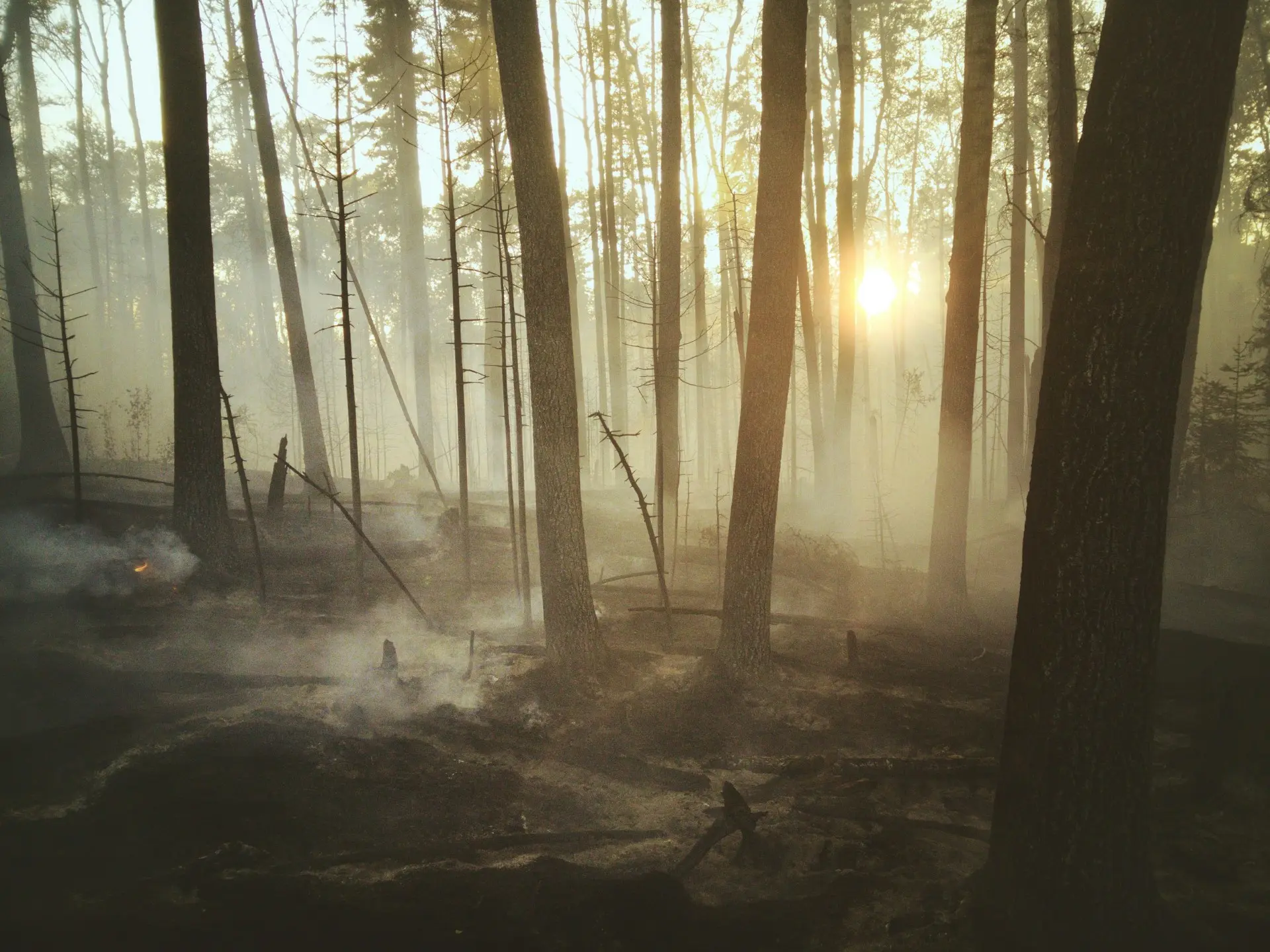 Des « feux zombies » encore actifs pourraient accélérer la saison des incendies