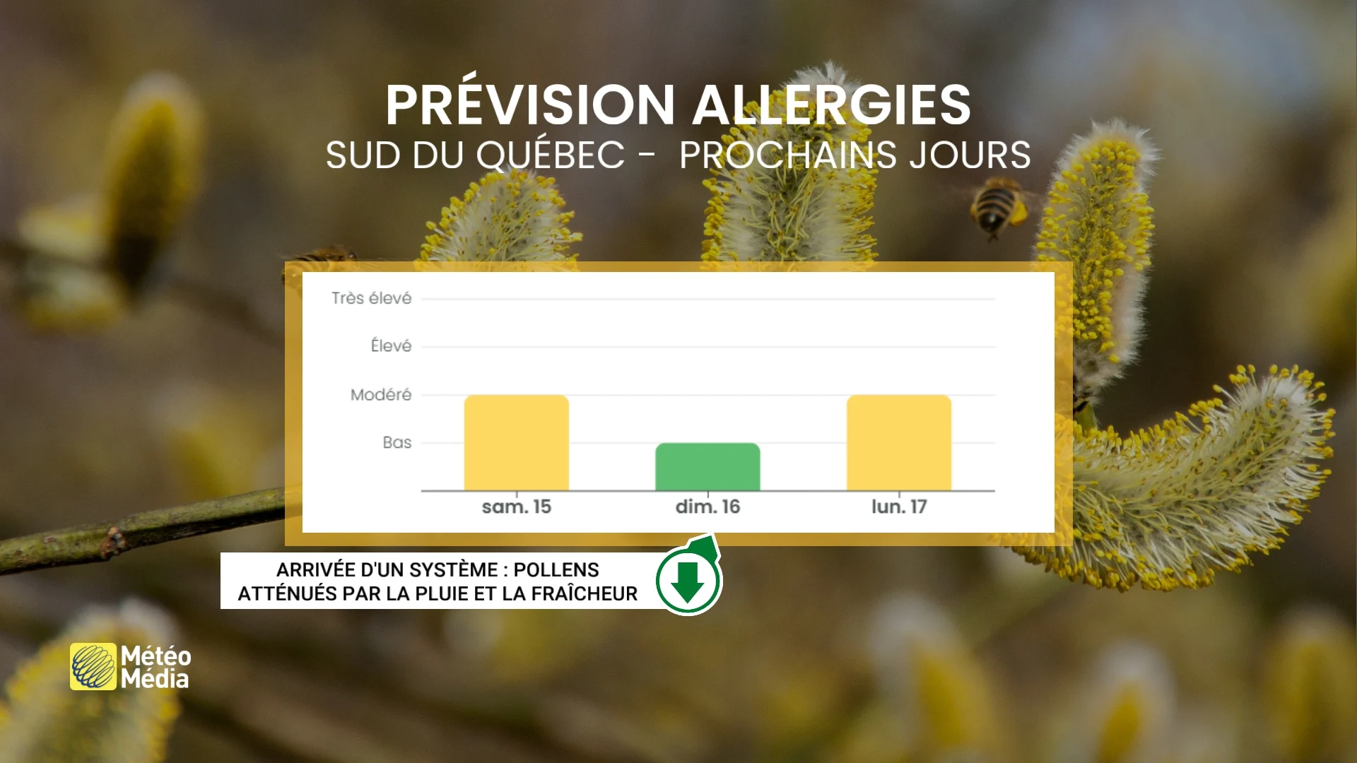 À vos mouchoirs : une période importante s’amorce au Québec
