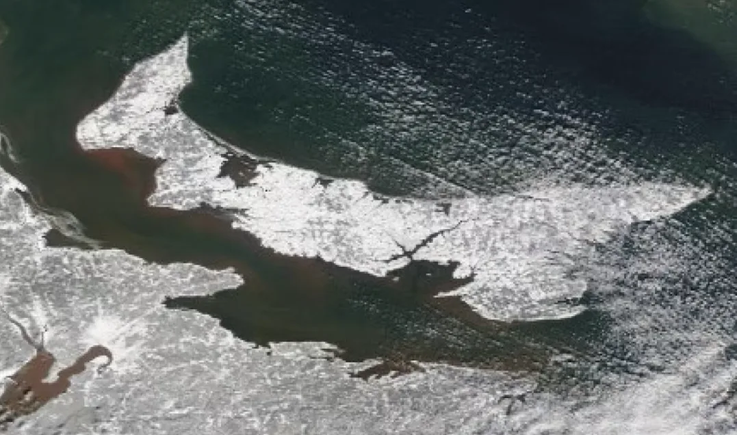 CBC: A satellite image of Prince Edward Island taken Tuesday shows a scattering of ice around the eastern end. (MODIS image/NASA)