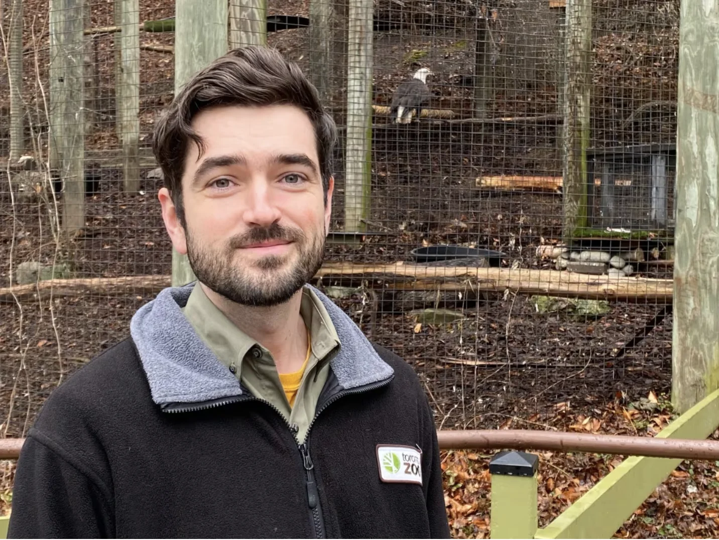 CBC: Jon Spero, lead keeper of birds and terrestrial invertebrates at the Toronto Zoo, says the bald eagles' resurgence are a positive sign of the ecosystems they help form.  (Paul Borkwood/CBC News)