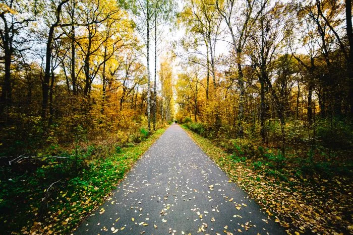 L'été des Indiens, qu'est-ce que ça mange en automne ?