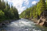 Protection des milieux naturels : le Québec à la traîne