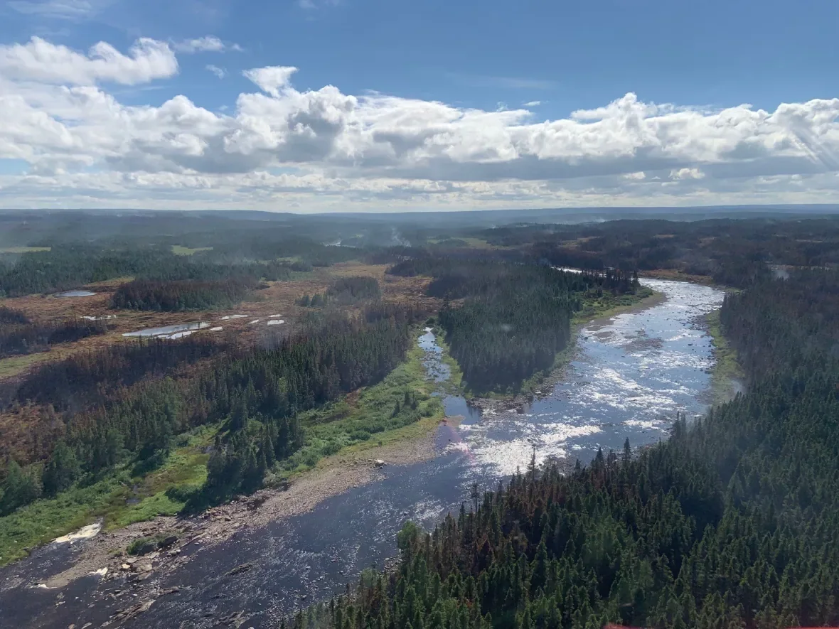 bay-d-espoir-highway-fire/Government of Newfoundland and Labrador/Twitter