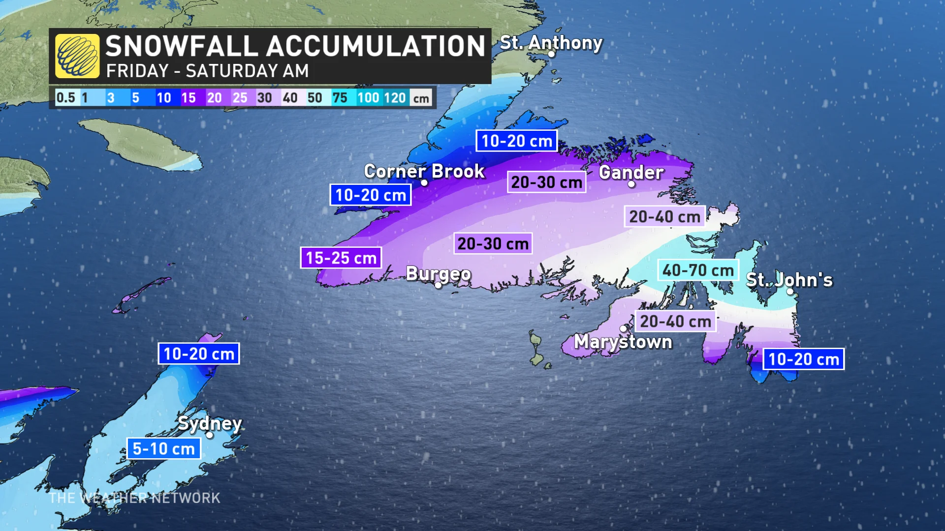 Newfoundland snowfall totals