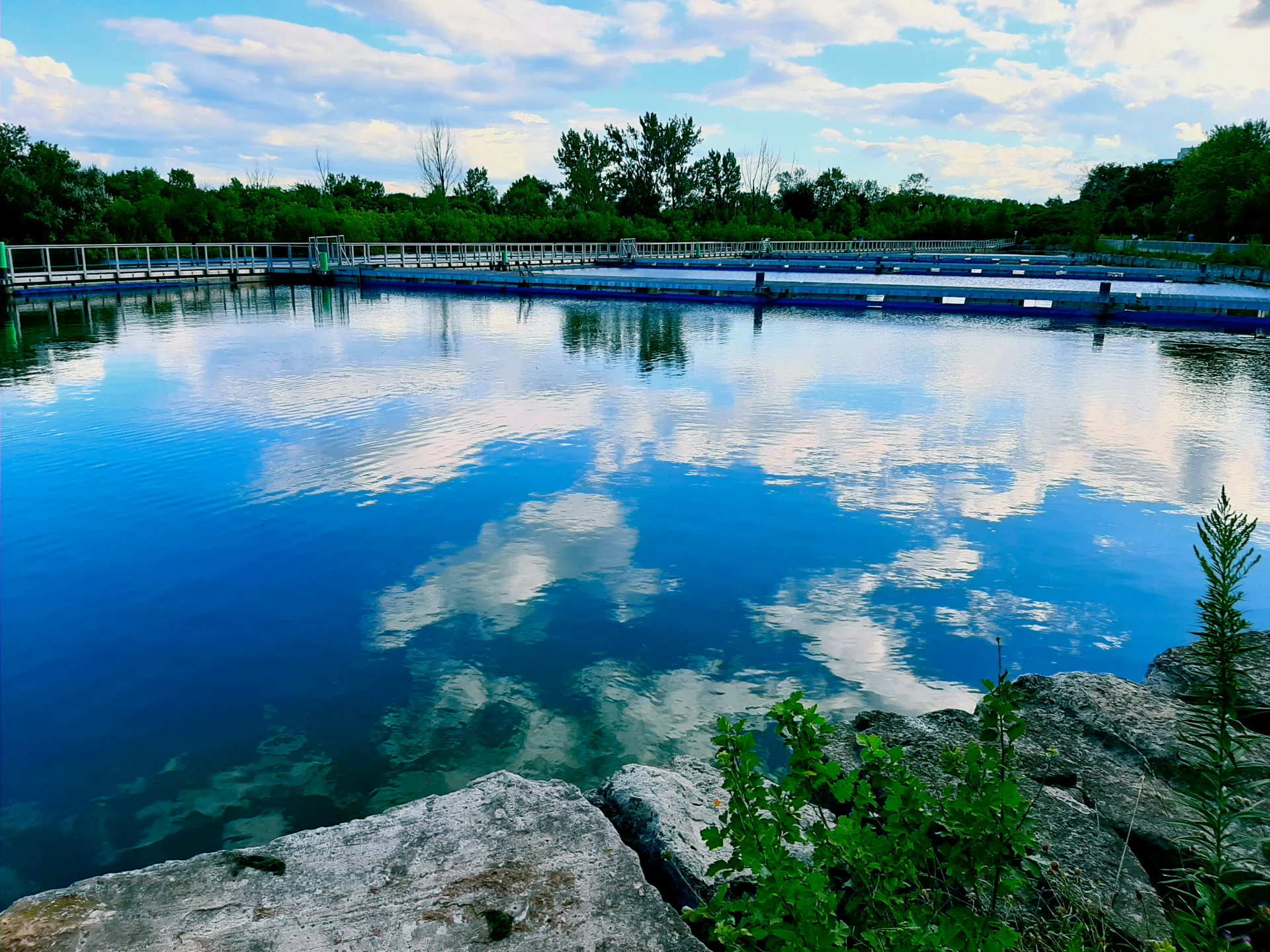 'It's one of Toronto's best kept secrets:' Fishing in the city