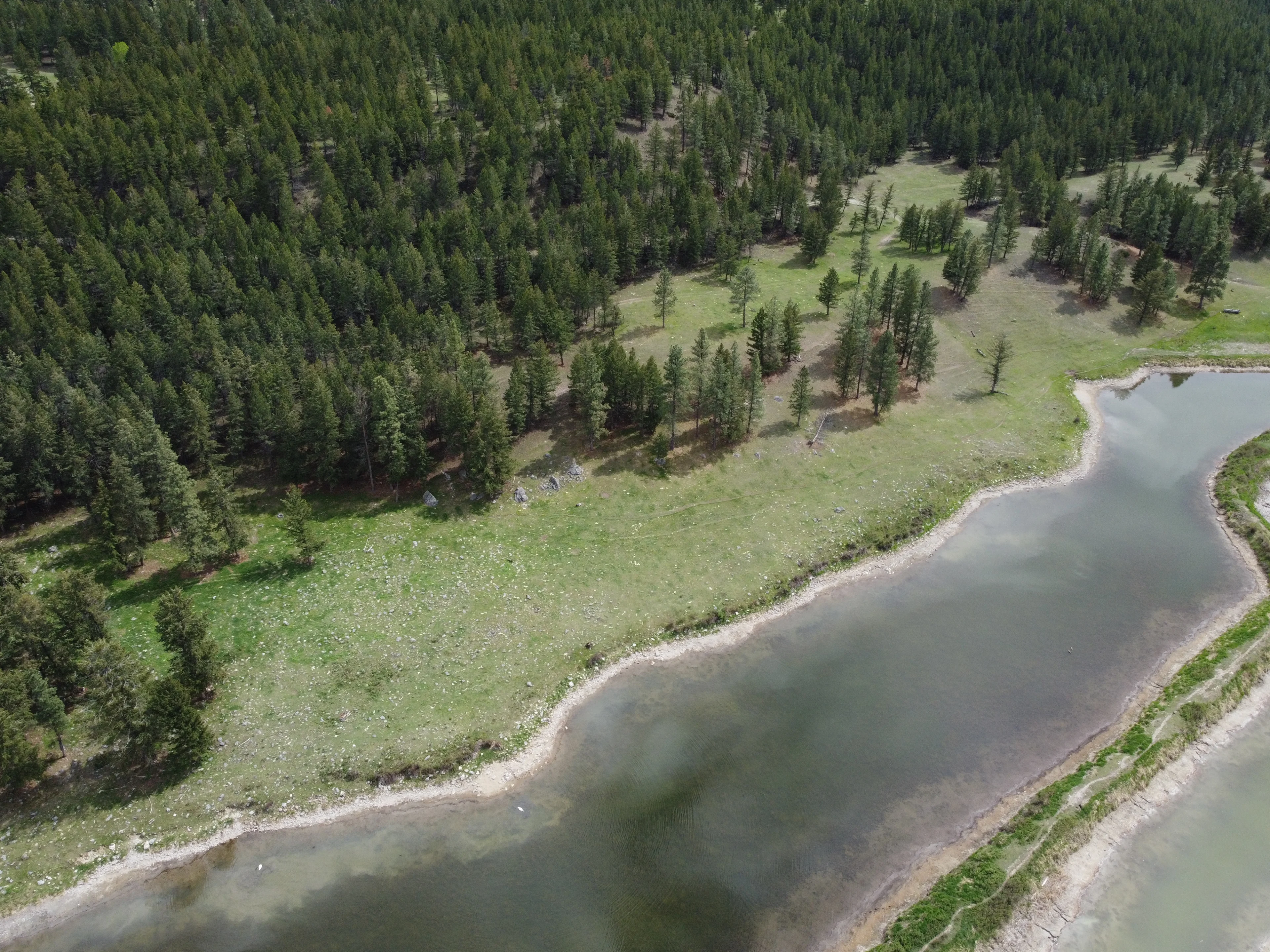 Lower Wolf Creek/The Nature Trust of BC/Submitted to The Weather Network