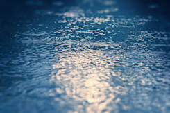 Rainfall provides a bit of relief for drought, wildfire-stricken B.C.
