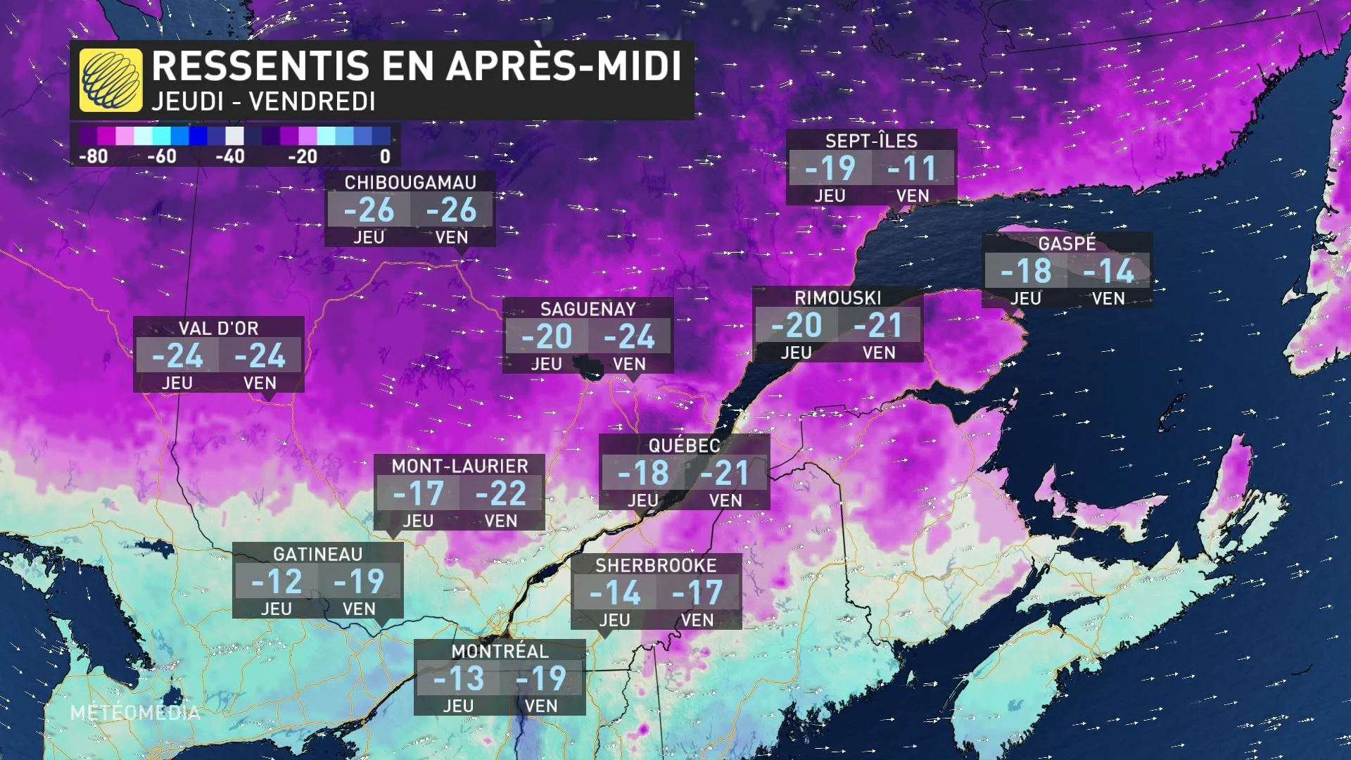 FROID 4 (2)