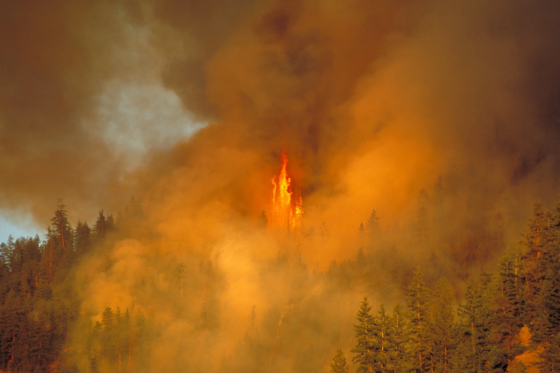 Canada ravaged by its worst wildfire season this century: Official