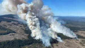 7 human-caused wildfires reported in central B.C. in 1 afternoon