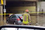 PHOTOS: Flooding, trees down after intense storms slam GTA