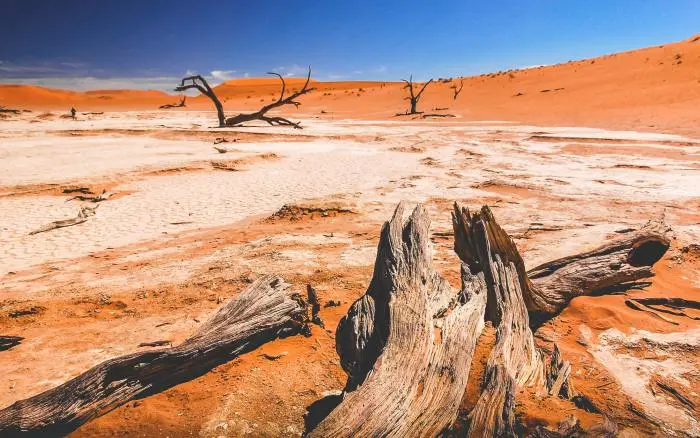 2070 : une grande partie de la Terre sera désertique