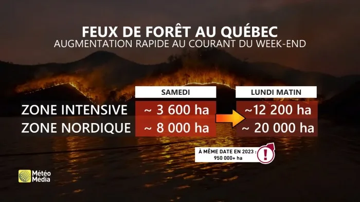FEUX2 (1)