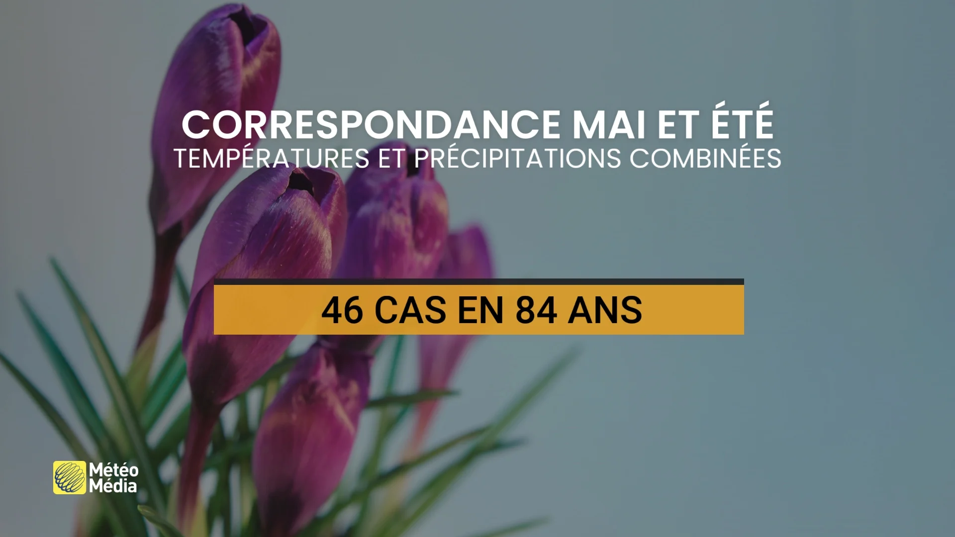 MAI ÉTÉ 1