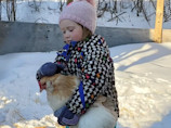 4-year-old girl and pet hen sledding duo are an internet sensation