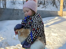 4-year-old girl and pet hen sledding duo are an internet sensation