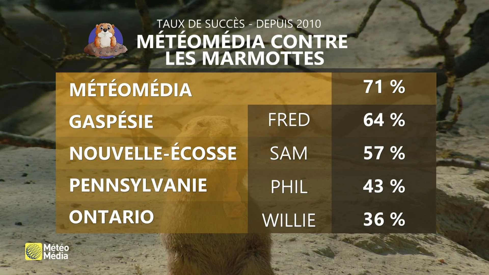 MARMOTTE1