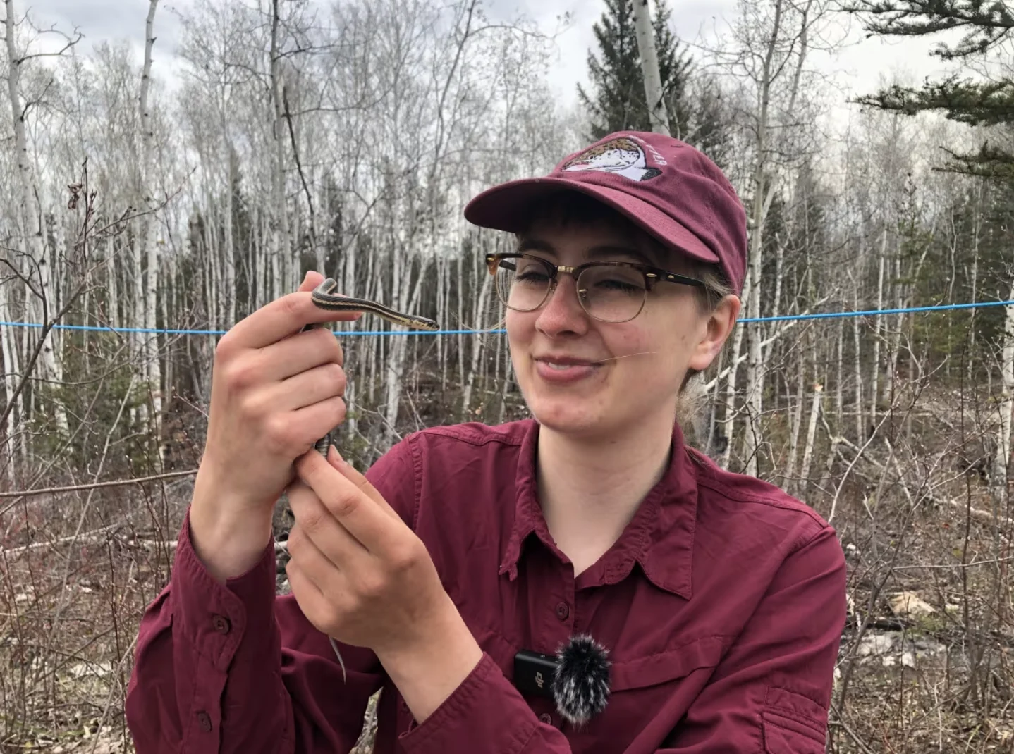 CBC: Johanna Stewart is a researcher studying the red-sided garter snake population in Fort Smith. She hopes her work will inform government decisions in how to protect the snake and how to manage land impacted by wildfires. (Meghan Roberts/CBC)