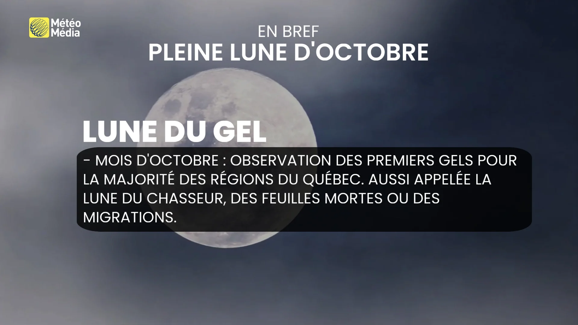 LUNE1 (1)