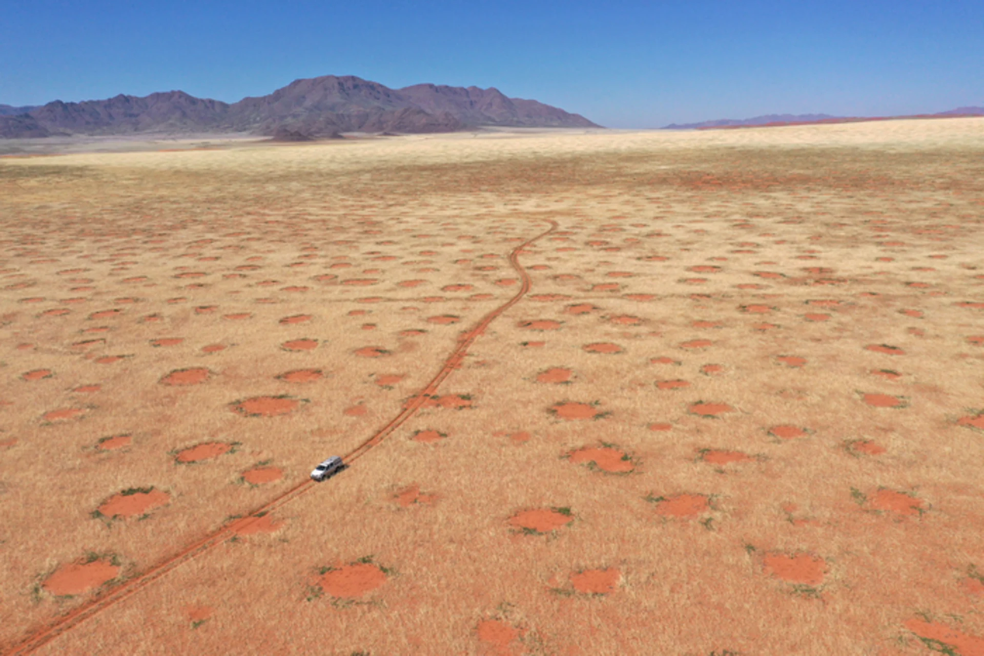 Research finds mysterious fairy circles exist beyond Namibia and Australia