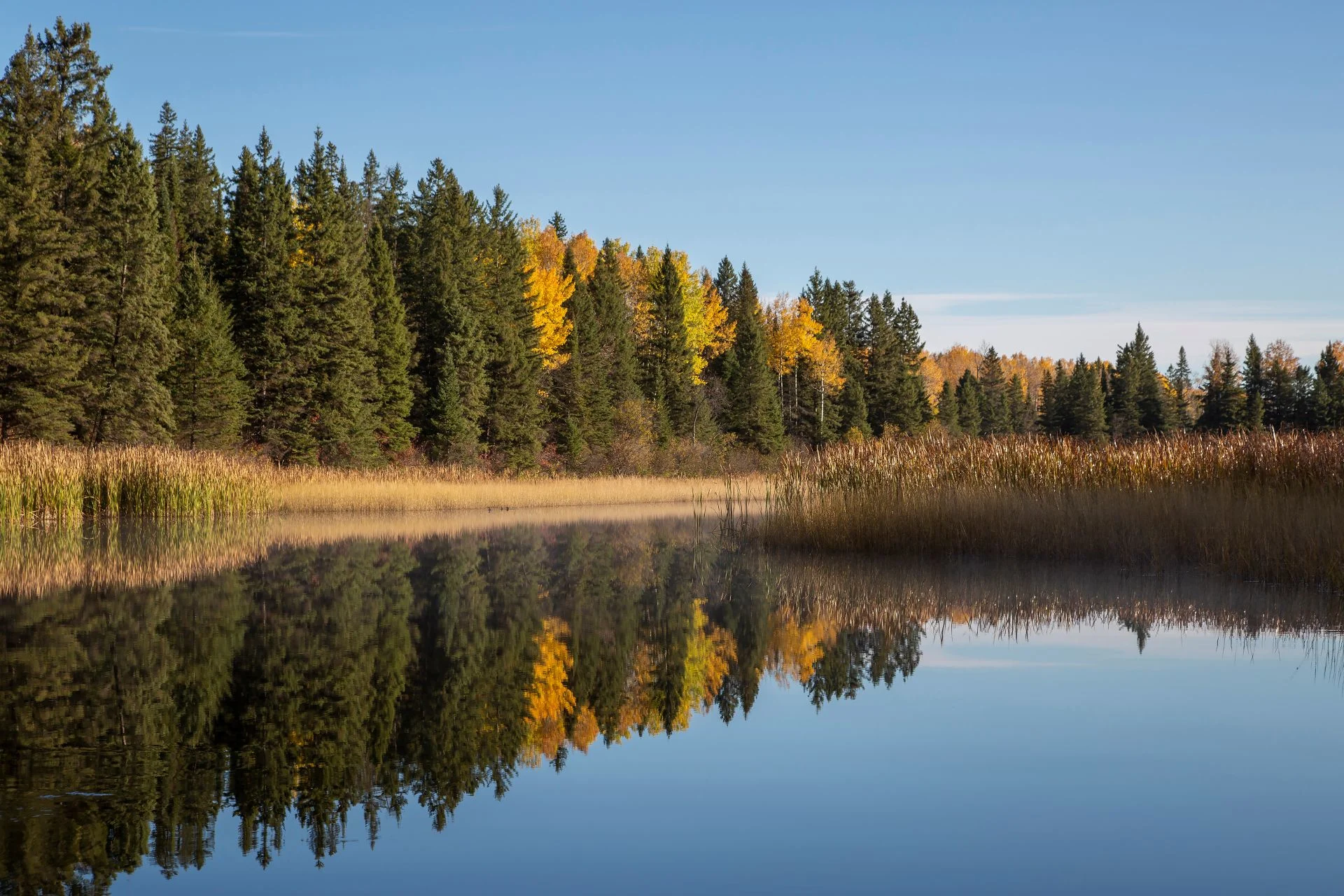 Boreal wetland/Ducks Unlimited Canada/Submitted to The Weather Network