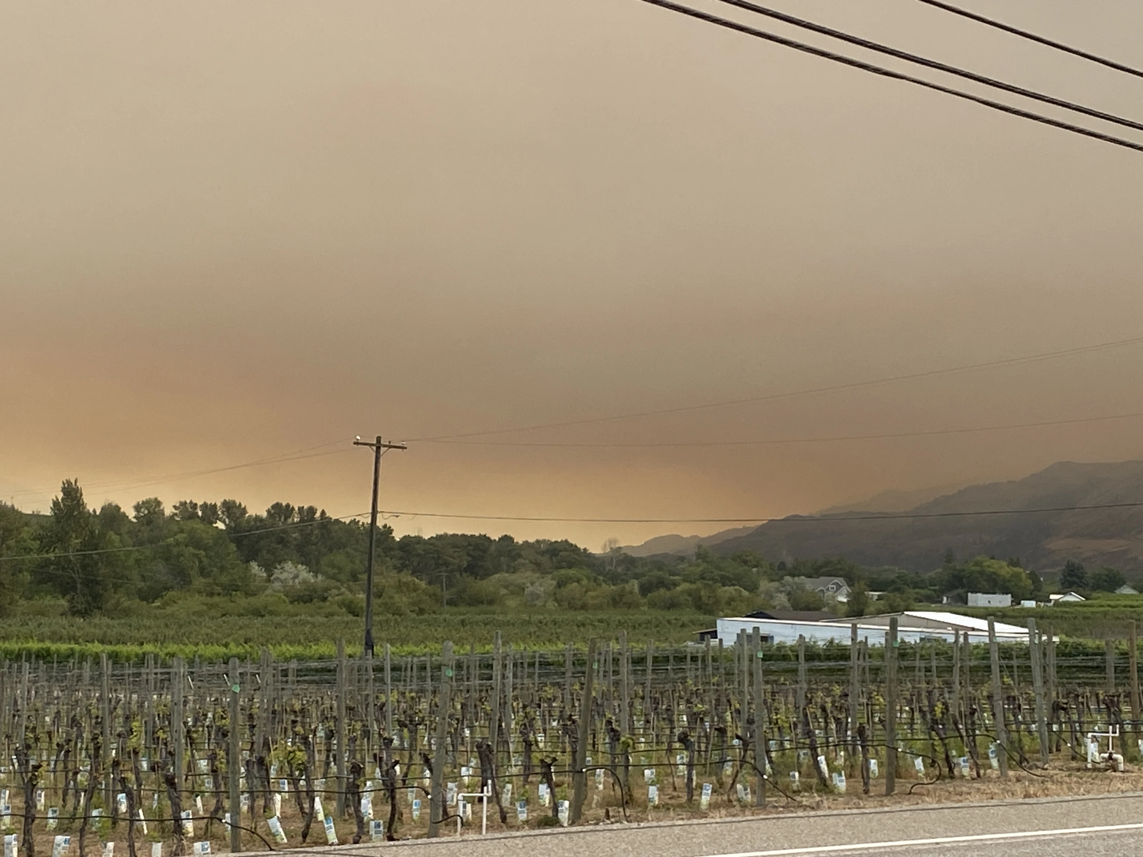 (JACLYN WHITTAL) Smoke Osoyoos B.C. wildfire July 30 2023
