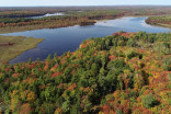 Vital protection covers large section of rare forest in Nova Scotia