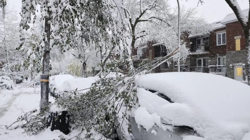 Montreal snowfall - Nov 10 2025 - Anne-Marie Lecomte - Radio-Canada