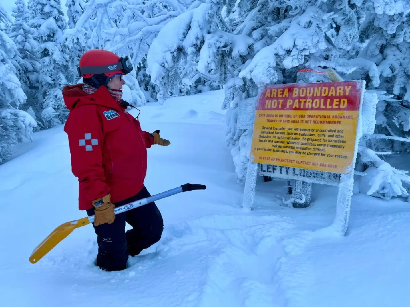 Meet Kipper, the newest — and only — avalanche dog in Canada's North The Weather Network