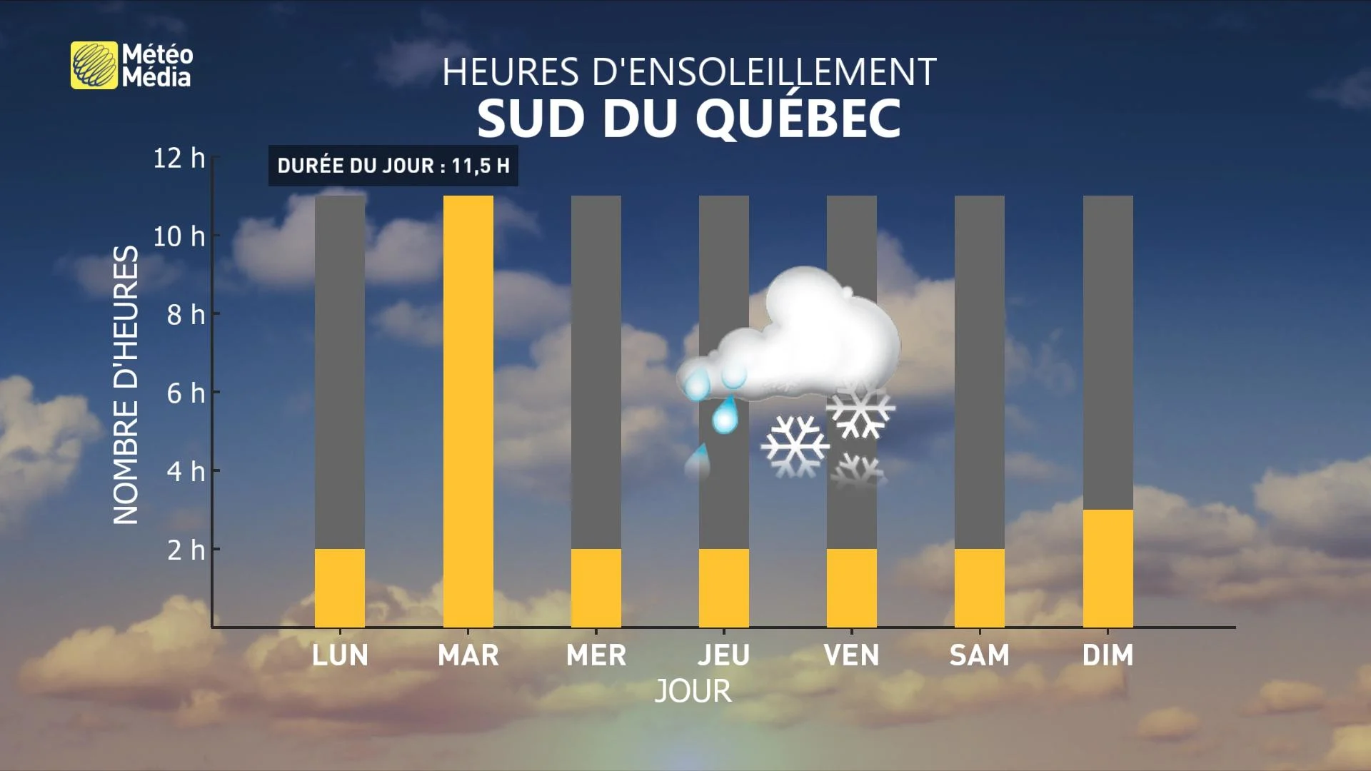 SYSTEME6