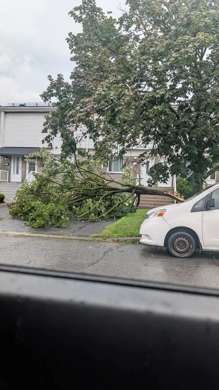 Tornade possible et dégâts rapportés