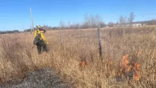 Indigenous communities turn to prescribed burns to protect land from wildfires