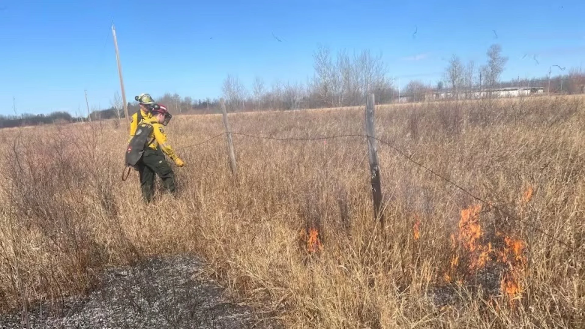 Indigenous communities turn to prescribed burns to protect land from wildfires