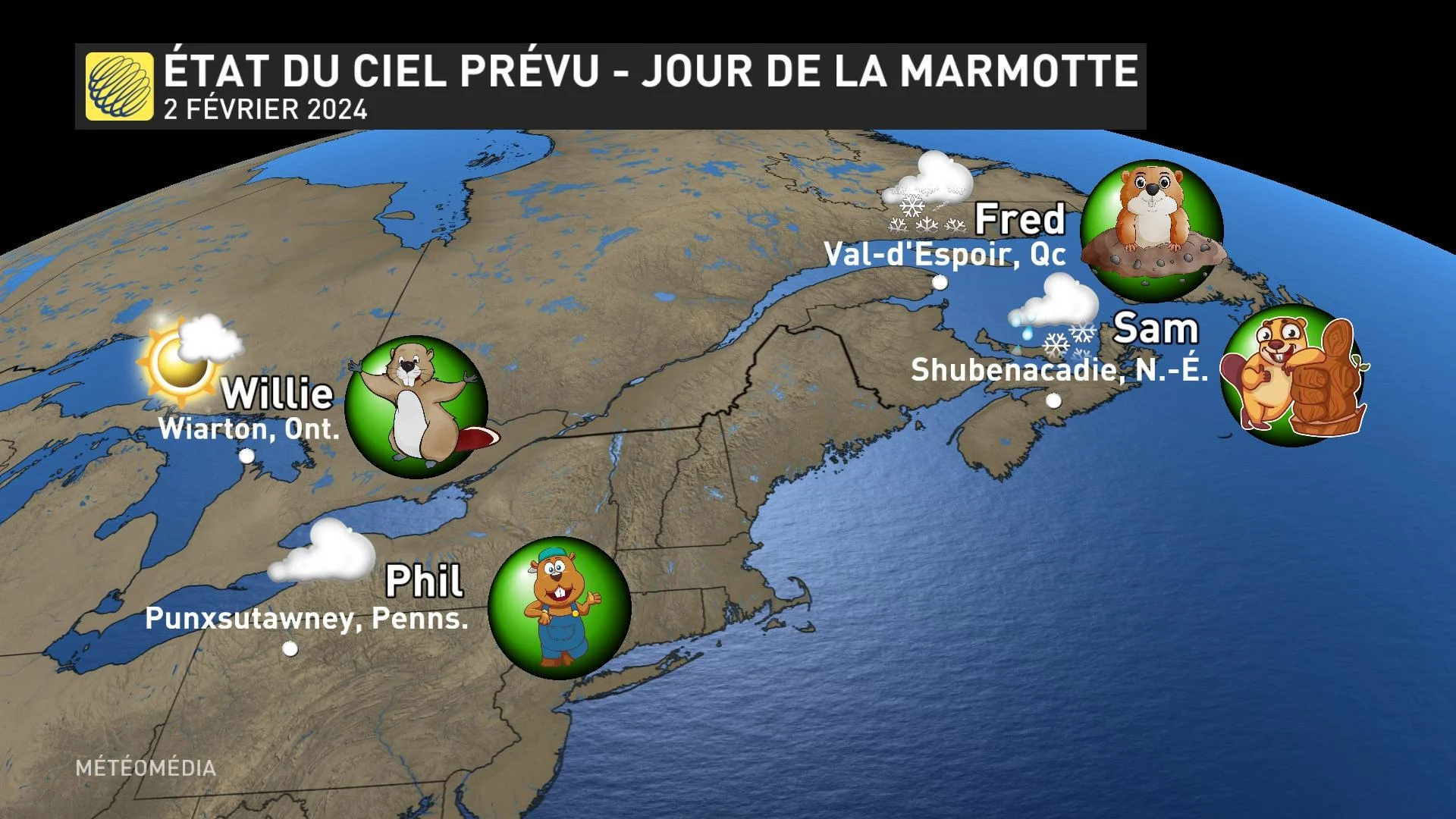 MARMOTTE2