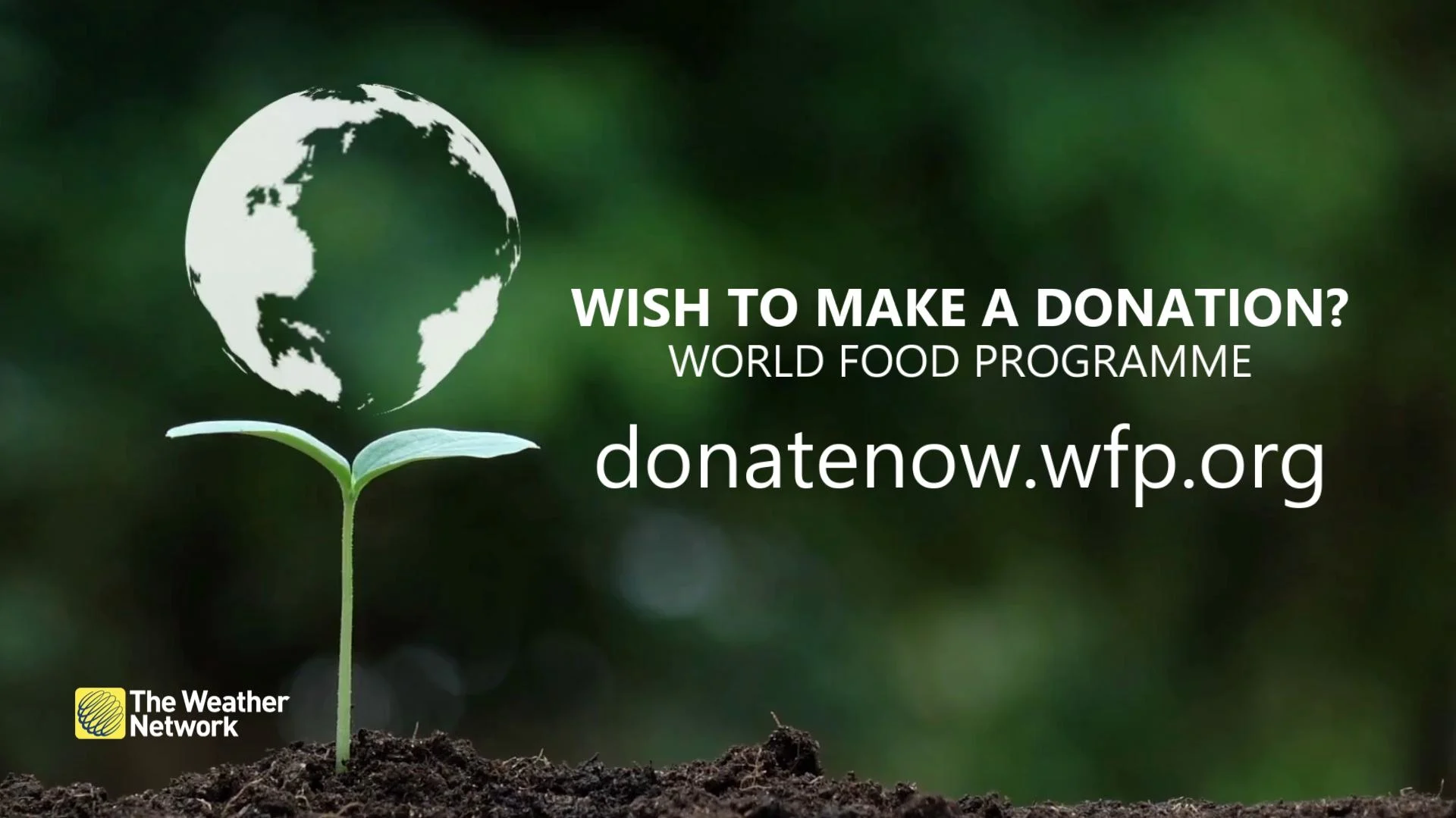 Donate to WFP