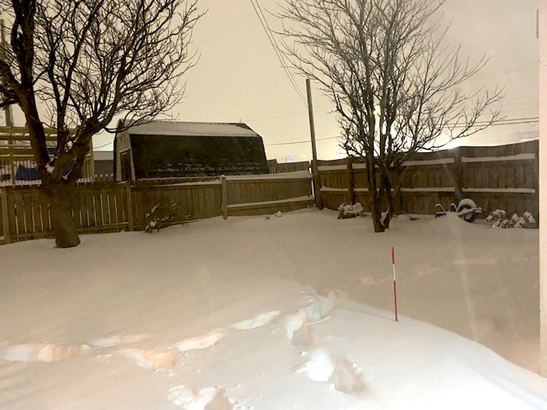 PHOTOS: First winter storm of 2024 packs a wallop in Newfoundland
