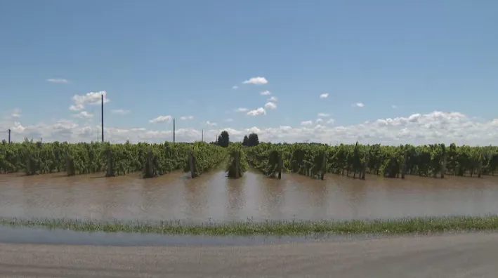 CBC - Niagara on the Lake flooding - Aug3