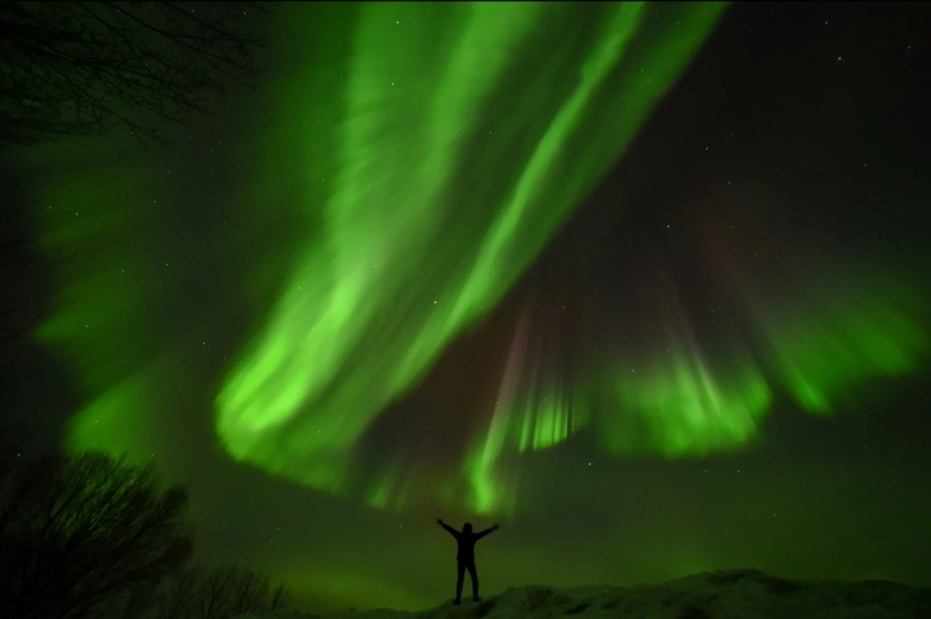 Un spectacle possible dans le ciel du Québec samedi soir