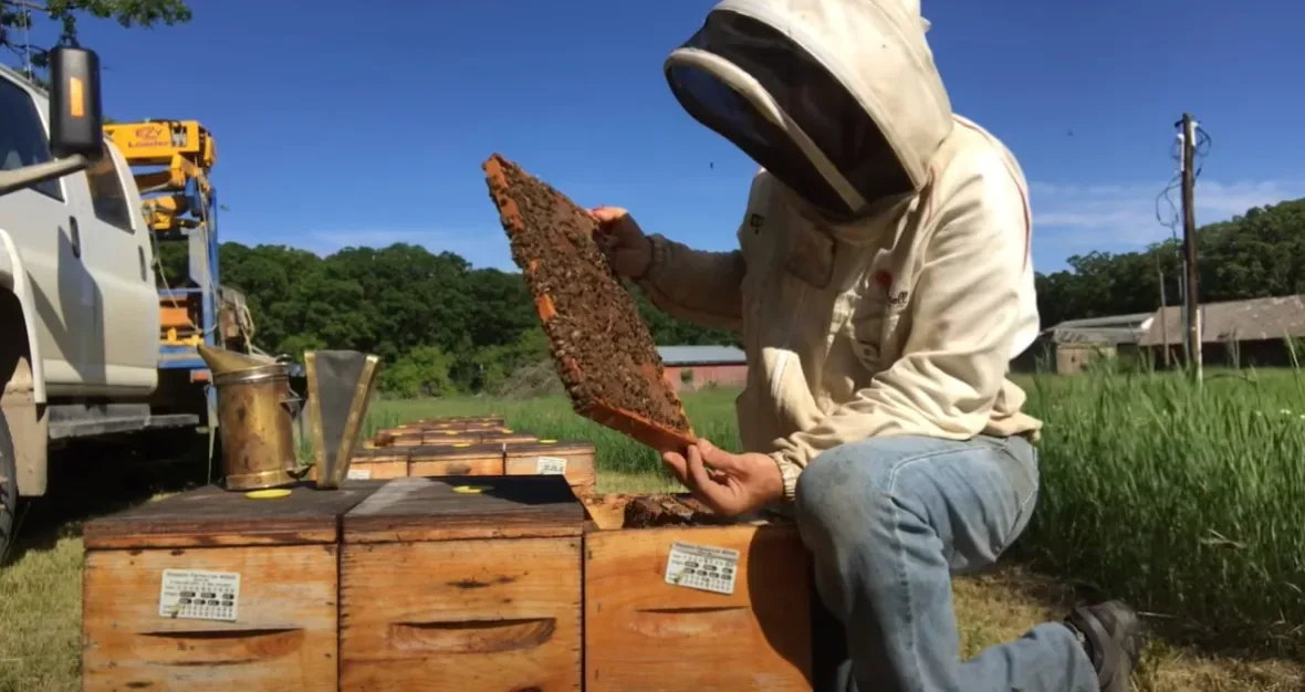 Ian Steppler/A Canadian Beekeeper/s Blog/YouTube via CBC