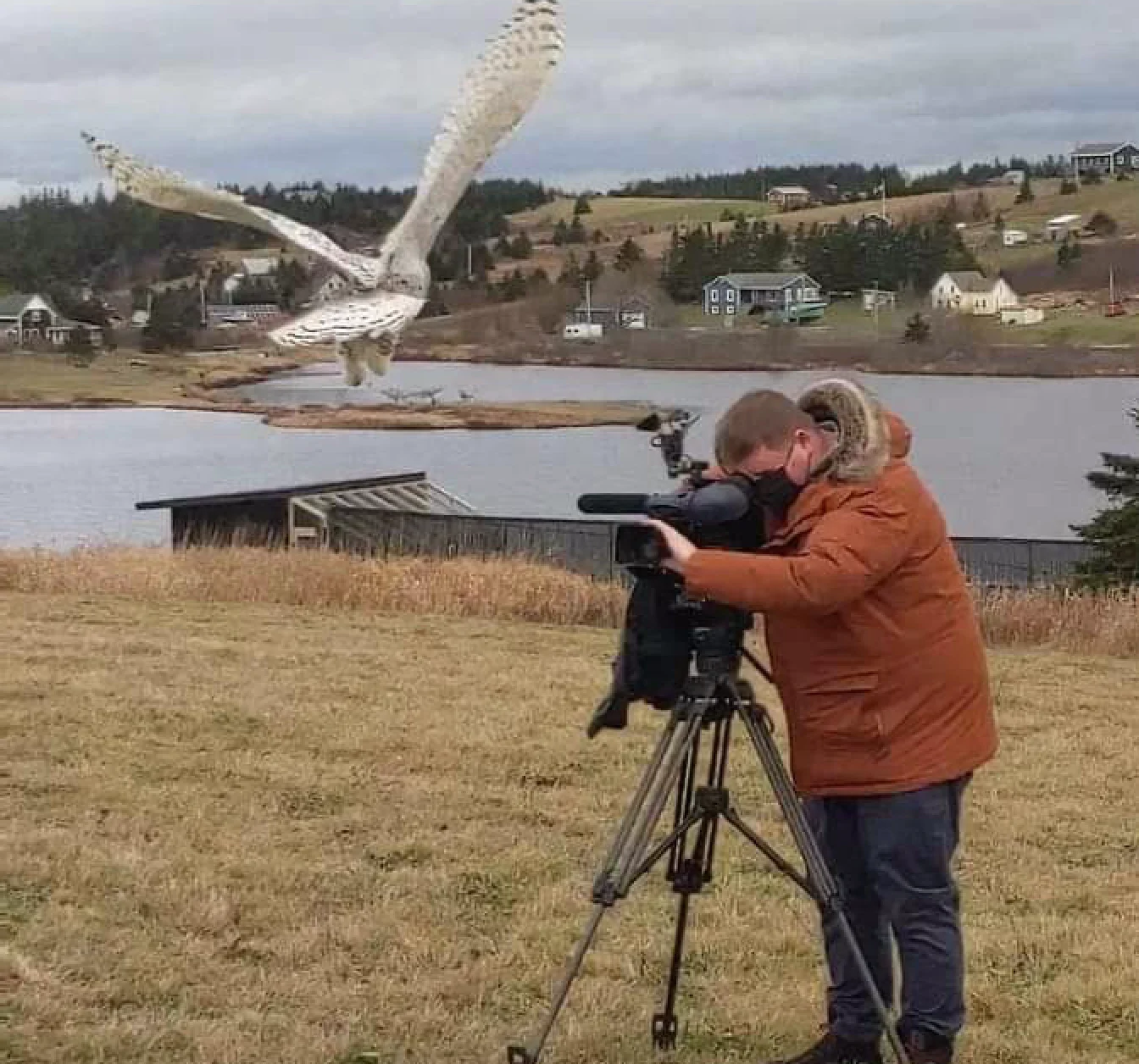 Owl Rescue: Nathan Coleman