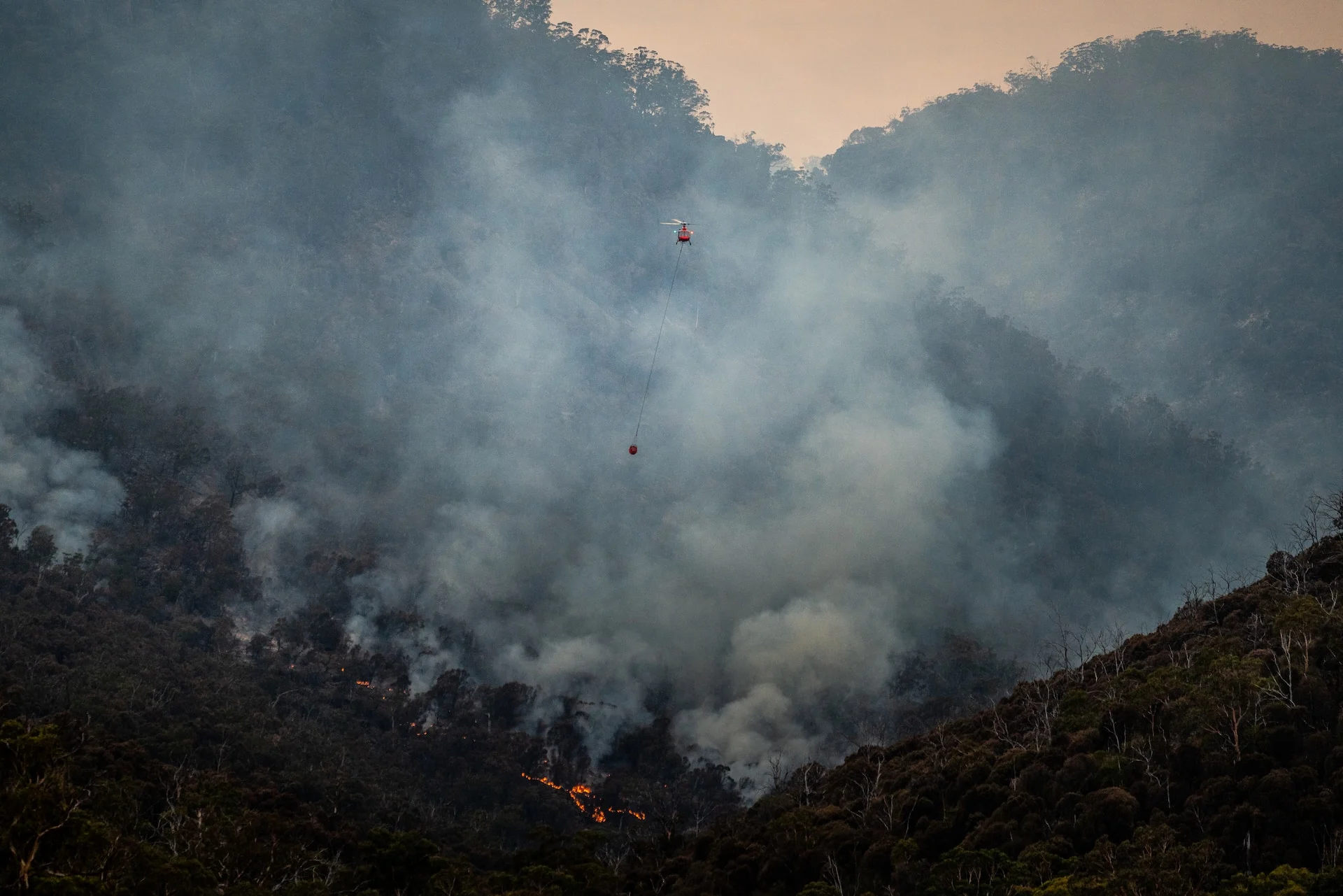 Feux de forêt : première bonne nouvelle en plus d'un mois