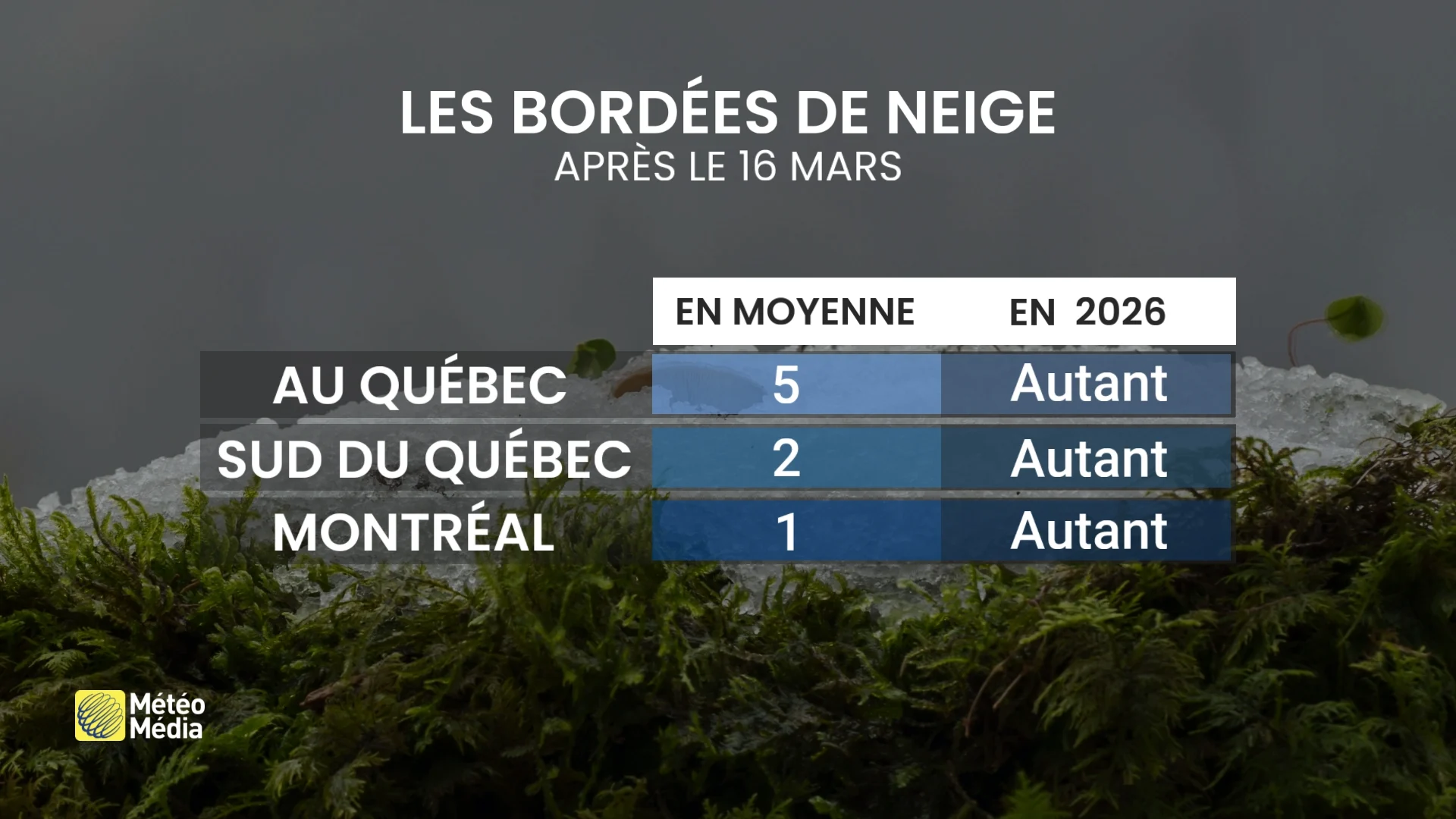 Changement de pneus : le bon moment selon votre région