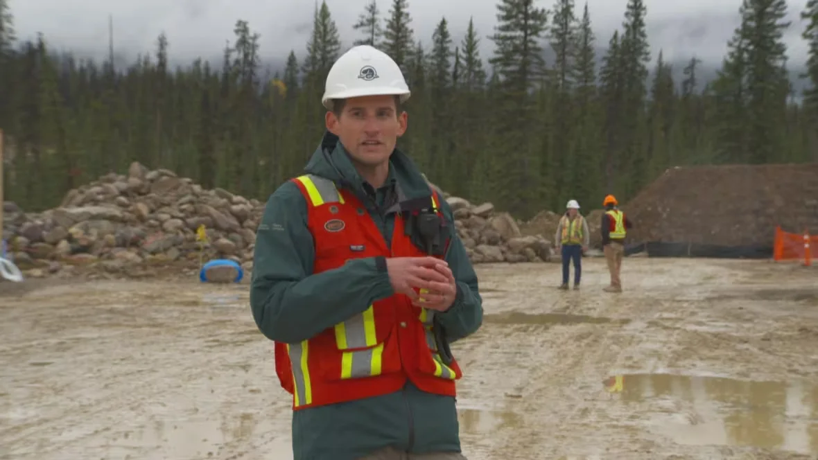 CBC: Joshua Kummerfield, a project manager for Parks Canada (Dave Bajer/CBC)
