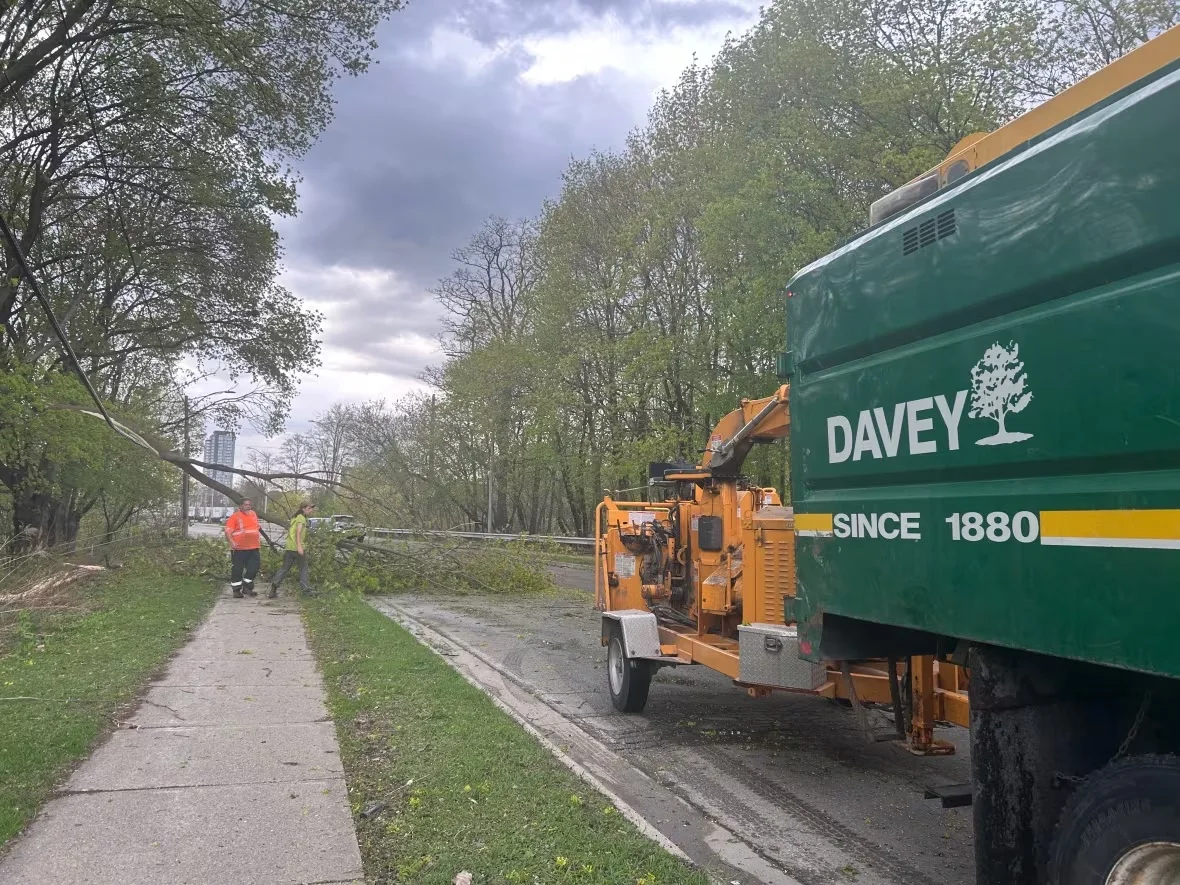crews-cleaning-up-tree-damage/Michelle Both/CBC
