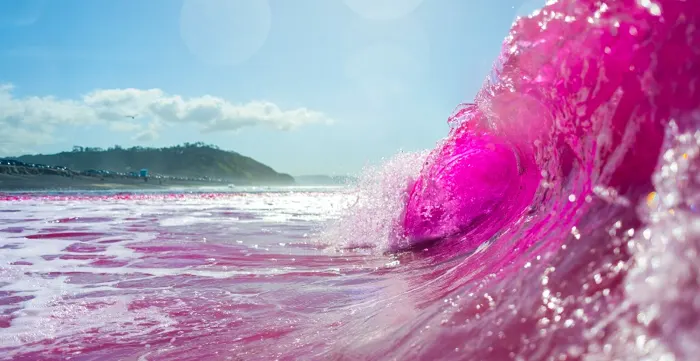 San Diego beach water is turning bright pink