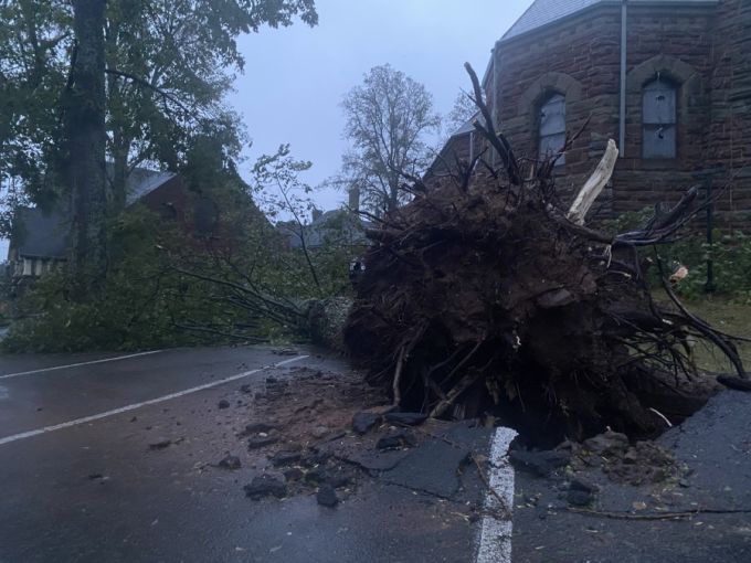 Jaclyn Whittal - Charlottetown, PEI, downed tree during Fiona - Sept 24, 2022